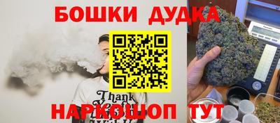 гидра Будённовск