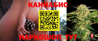 гидра Будённовск