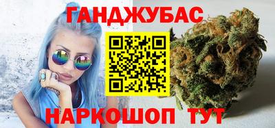 гидра Будённовск