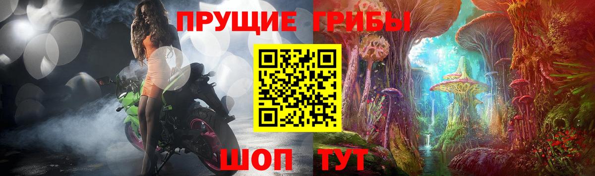 Новочеркасск  Галлюциногенные грибы GOLDEN TEACHER  Вход с VPN 