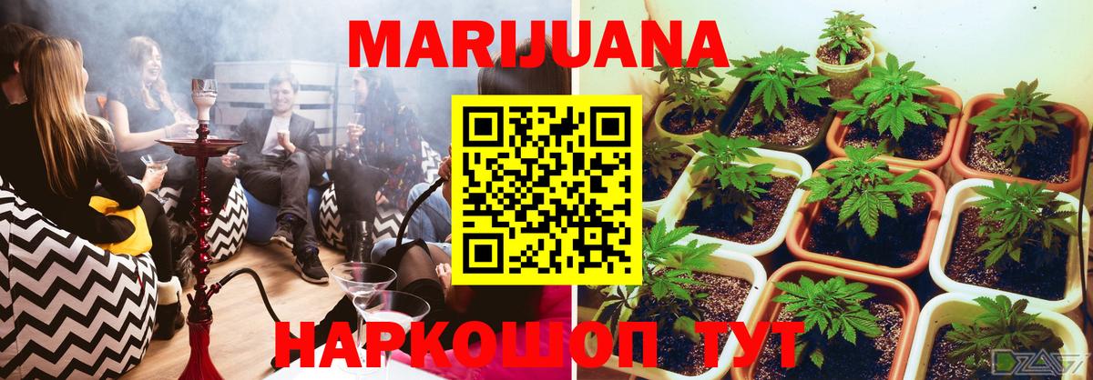 Конопля VHQ  Марихуана Bruce Banner  Конопля план  Вход с VPN  Новочеркасск 